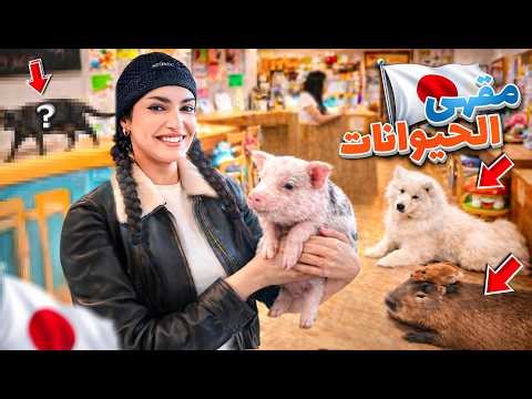 رحت ل اغرب كافيهات باليابان🇯🇵 | كافيه الخنزير 🐷😭