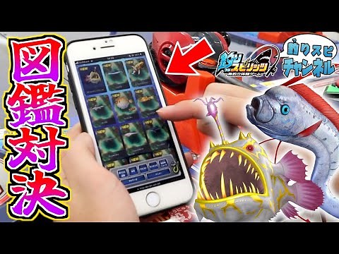【公式】全270種以上！図鑑をうめながらどっちが多く釣れるか対決！【釣りスピ研究所】【釣りスピリッツ】
