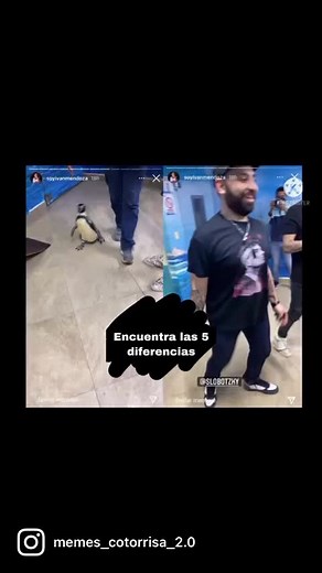 Pinguino con Síndrome de Down | La Cotorrisa #Slobotzky