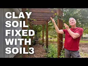 From Clay Soil to Blooming Success: Roses & Native Plants Update