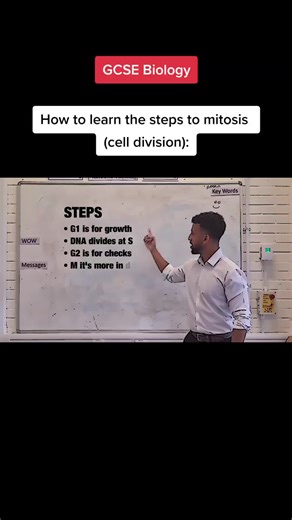 18 second lesson on cell division👌🏽#mitosis #tiktokteacher #biology #examquestions #gcse #science #teacher #school #rappingteacher #alevel