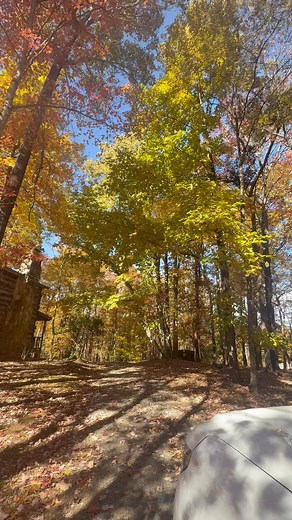 7K views · 150 reactions |  Golden leaves, crisp air, and cozy moments at Cabin 2 — fall is the season for slowing down and falling in love all over again. ❤️ #FallInLoveAtTheCabin #AutumnRomance #CozyMountainNights #PilotKnobInn #CabinGetaway #FallMagic #MountainRetreat #LoveInTheMountains | Pilot Knob Inn | Facebook