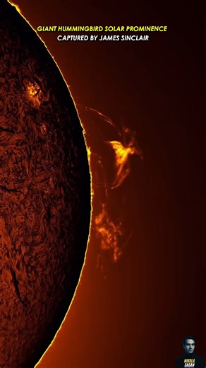 14K views · 588 reactions | Giant Hummingbird Solar Prominence Captured by James Sinclair #sun #space #astronomy #astrophotography | Nikola Sagan | Facebook