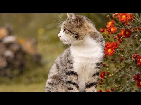 A to Z GamIng is live! #haunteddormgameplay #hauntedgame #haunteddorm #livegame