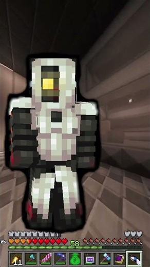 Portal in Minecraft | Stone Block 4 #minecraft #gaming