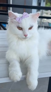 1.1M views · 42K reactions | ganda ganda mo te | Chloe and Casper | Facebook