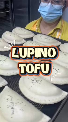 Veggie Lunch on Instagram: "Te presentamos la empanada Lupino Tofu: crocante, jugosa y 100% vegetal. Mira cómo la preparamos y anótala en tu lista para venir a probarla 🫢💚"