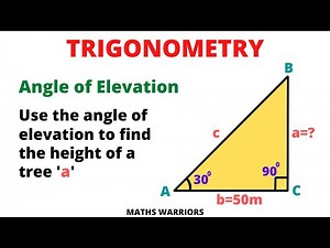 Use the Angle of Elevation to Find the Height of a Tree | Trigonometry | Step-by-Step Tutorial