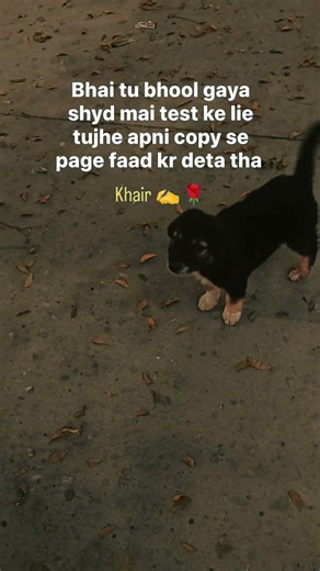 Bhai tu bhool gya hai shyd, mai toh test ke lie tujhe apni copy se page faad kr deta tha #shorts