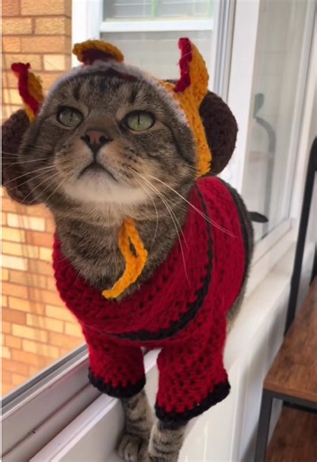 Queen Amidala's Iconic Looks and Style