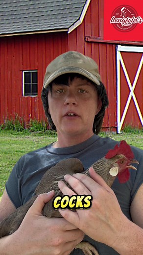 EVER MAINARD on TikTok