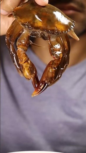 Trying Soft-Shell Crab for the First Time