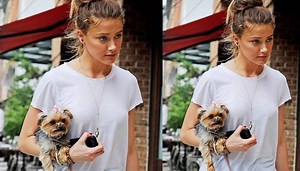 Amber Heard's dog has gone 'missing': Inside TV presenter's wild theory
