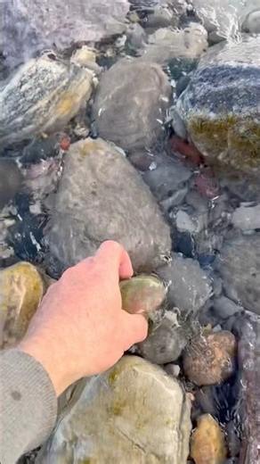 I never miss a pretty piece of unakite #rockhound #rocks #stone #rockhounding