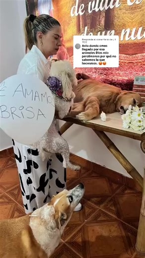 Respuesta a @J f 1122 Huellitas Compost es para los que amamos nuestras mascotas como un miembro más de nuestra familia ♥️ #mascotas #funeraria #natural