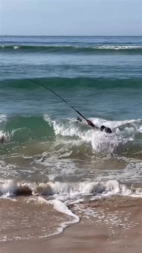 594K views · 628 reactions |  I can’t believe what we just filmed. Help us name it !!! | Fishing Australia TV | Facebook