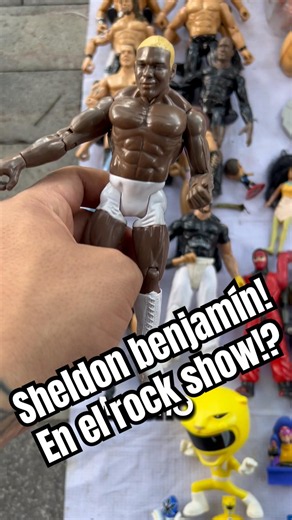 I found an amazing lot of WWE JAKKS PACIFIC BACKLASH figures at the Rock Show flea market!