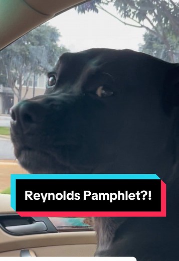 Tragic Turns in Hamilton's Storyline Unfold