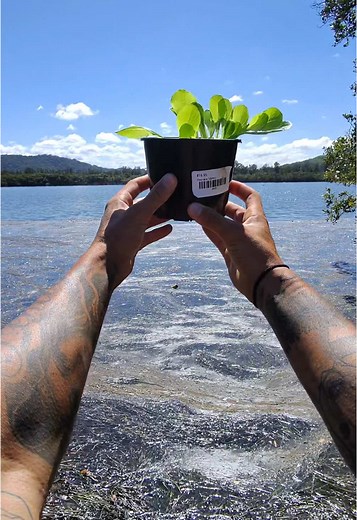 Free Lettuce🥬 #hero #saved #befree #freelettuce #fyp