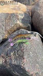 315K views · 4.2K reactions | இந்த 2uh LURE போதும் எல்லா மீன்களையும் பிடிச்சிடலாம்‼️ #tnvillager #fishinglife #fishing | Tn villager | Facebook