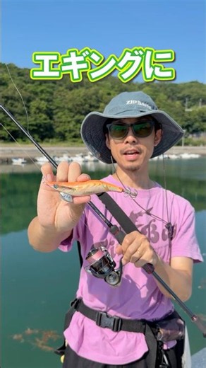 エギングの最強ライン爆誕！フロロより強い #fishing #エギング