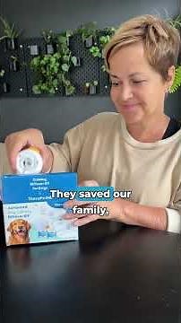 How To Stop Dog Indoor Peeing Fast