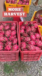 19K views · 225 reactions | Victoria Farm on Reels | Facebook