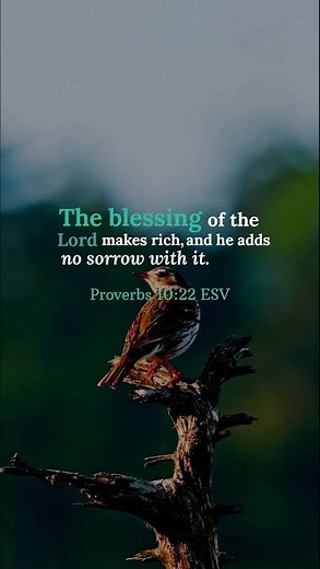 Blessing of the Lord makes rich — Proverbs 10:22 | Day 142