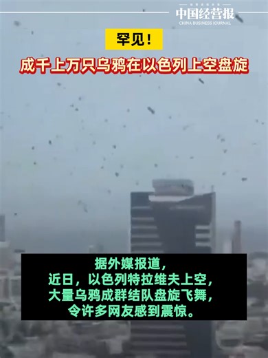 罕见！成千上万只乌鸦结队，在以色列特拉维夫上空盘旋_腾讯新闻