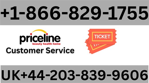 The Complete Guide To Contacting Priceline— By Phone, Chat, Email, Or App