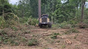 16 reactions · 3 comments | Have Timber❓️ Call or Text Us Today‼️  T.O. 601-339-1652 "Always Remember It's All About You" TandTloggingllc.com Follow Us on YouTube T&T Logging Show #GottaGetIt #tntloggingshowthursdays #Logging #letsgo #timberharvesting #LandForSale | T&T Logging,LLC | Facebook