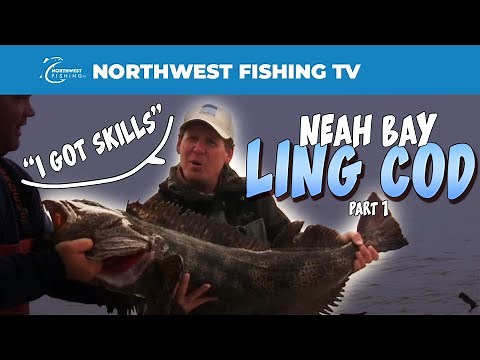 Neah Bay Ling Cod - Part 1