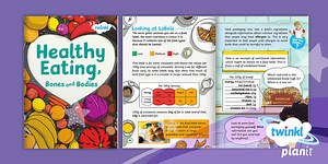 Science: Animals Including Humans: Year 3 Super Skeletons, Mighty Muscles & Healthy Bodies eBook