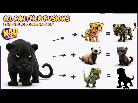 All Panther Combination! super cool fusion, Animash gameplay, supreme, mythical and legendary