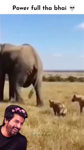 Full Powe Bhi #shorts #dogs #trending