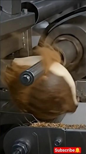 Coconut Processing Machine 🥥part-3