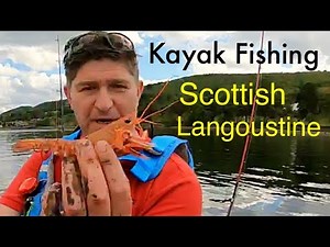 Sea Fishing Scotland - Catching Big Prawns - Never Been Seen Before