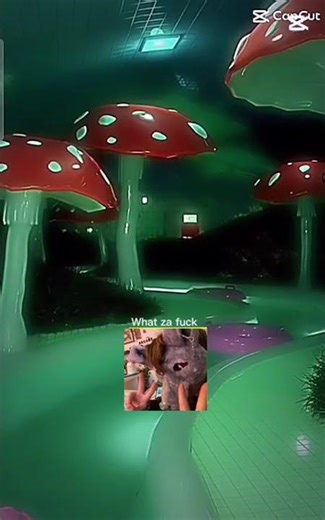 where am I #furry #dragonpuppeteer #fursuit #therian #wheeee