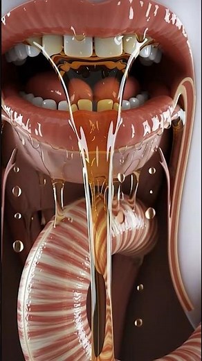 What Alcohol Does Inside Your Body #alchol #harmful
