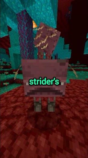 How to Get Saddle Back from Strider (No Kill Needed)