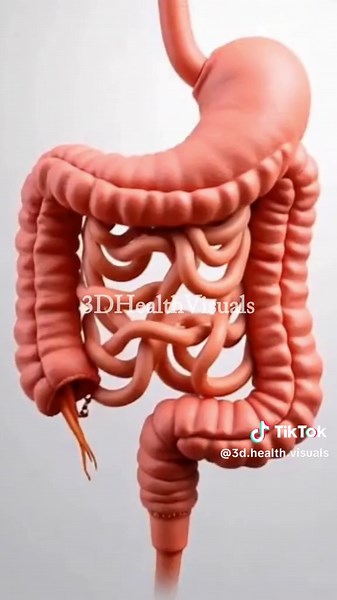 3D Health Visuals on TikTok