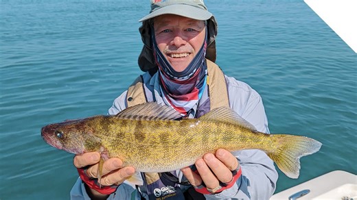 Our secret weapons for successful fishing! Stingnose and Eyedrops