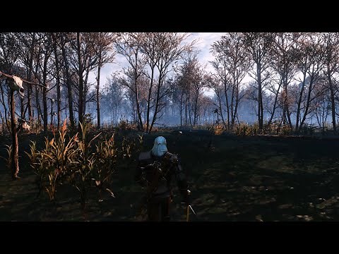 Witcher 3: Extreme modded graphic gameplay | Enchanted Light Reshade | New Modlist download!