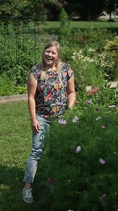 6.2K views · 54 reactions | "I'd like to start a cut flower garden. What are some good plants to add?"  Great question! Good cut flowers have a long "vase life" and are generally considered "cut and come again", meaning the more you harvest, the more new flowers are produced. Cosmos, Strawflower, Gomphrena, and Zinnias are gorgeous and easy to start from seed! | Gardener's Supply Company | Facebook