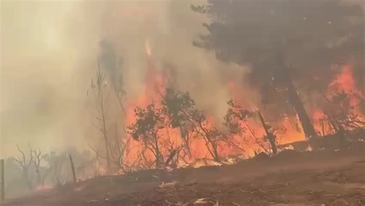 Ñuble Noticias | 🔴 BOMBEROS LOGRAN SALIR ILESOS TRAS QUEDAR RODEADOS POR EL FUEGO EN QUILLÓN Momentos de alta tensión se vivieron en el sector Queime,... | Instagram