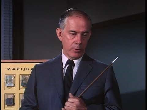 Dragnet S04E06 Juvenile the Little Pusher
