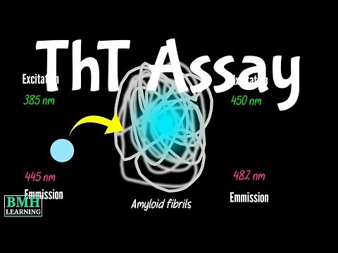 Thioflavin T Assay | Thioflavin T Fluorescence Assay | Thioflavin T Binding To Amyloids Assay |