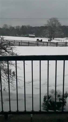 No shoes no socks🥲