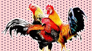 I’m a trans man attracted to men—but how do I get over my fear of them? | Xtra Magazine