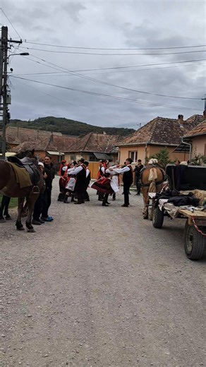 Ilonka Balazs on Reels